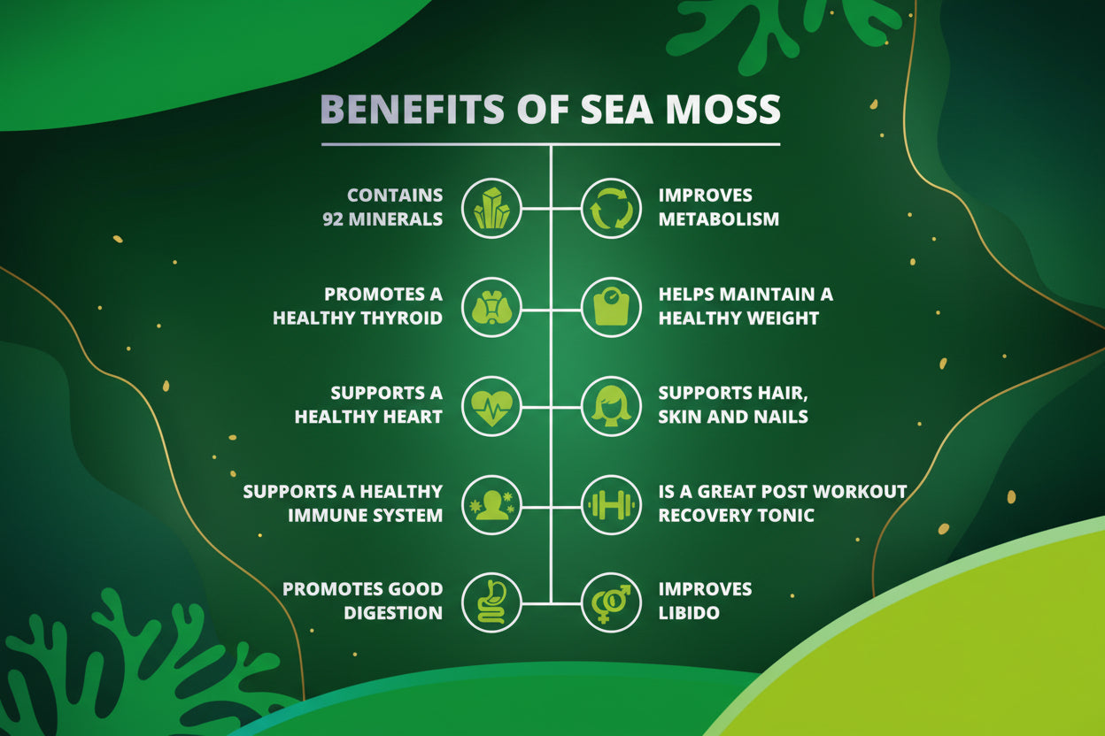 Sea Moss Gummies - 60 Gummies