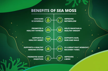 Sea Moss Gummies - 60 Gummies