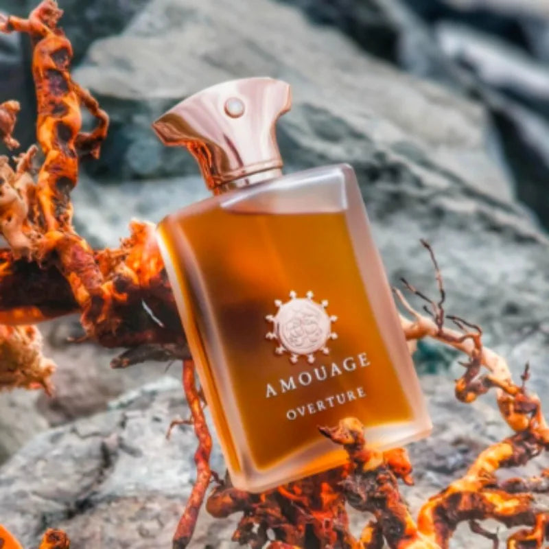AMOUAGE Parfum Masculin 100ml – Dia, Memoir, Overture & Opus | 6 Variante