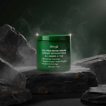 HOYGI Multi-Action Soothing Cream Set 6in1 – Tea Tree, Centella, Ceramide & Aloe Vera | Ten Sensibil & Gras | CPNP
