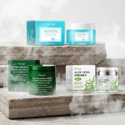 HOYGI Multi-Action Soothing Cream Set 6in1 – Tea Tree, Centella, Ceramide & Aloe Vera | Ten Sensibil & Gras | CPNP