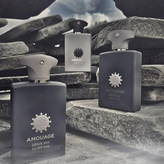 Parfum Masculin Premium 100ml – Lemnos, Oriental & Condimentat | 10 Variante