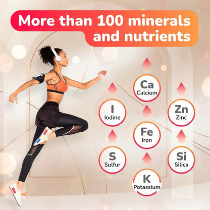 Sea Moss Gummies - 60 Gummies